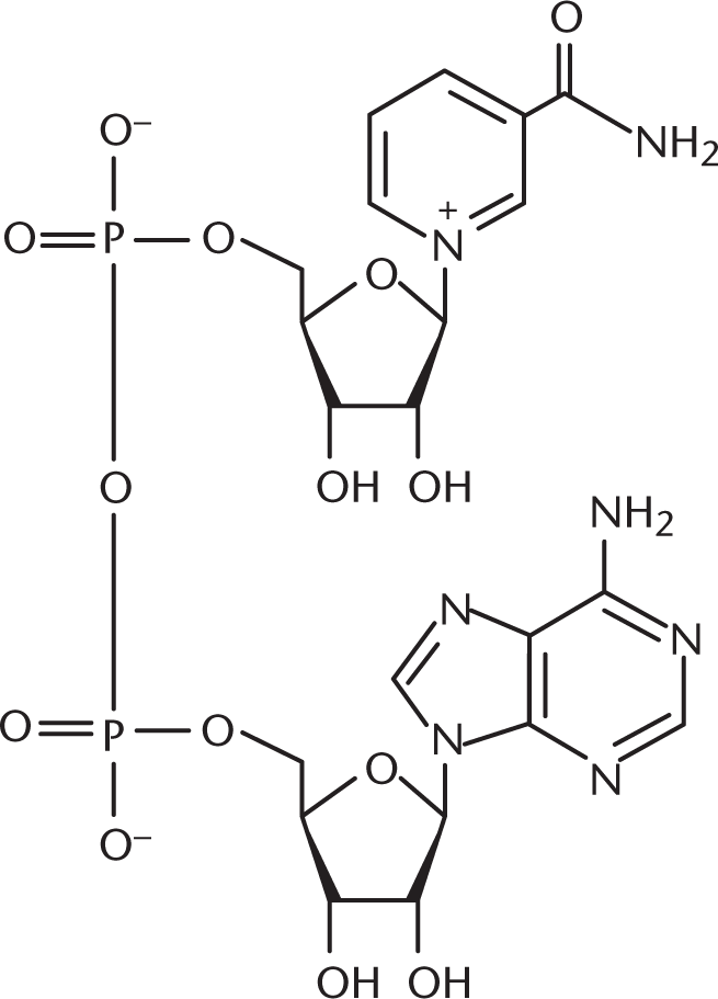 structure of NAD plus