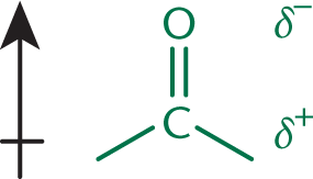 bond dipole of carbonyl pointing from positive end (carbon) to negative end (oxygen)