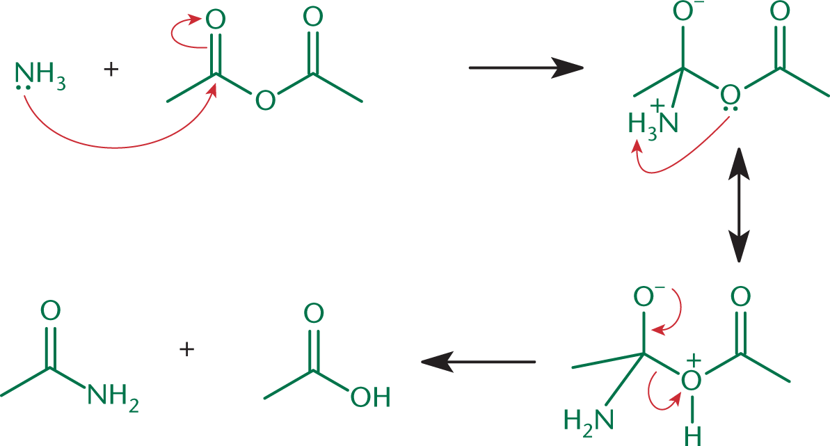 ammonia attacks carbonyl of anhydride; reformation of carbonyl yields amide and carboxylic acid