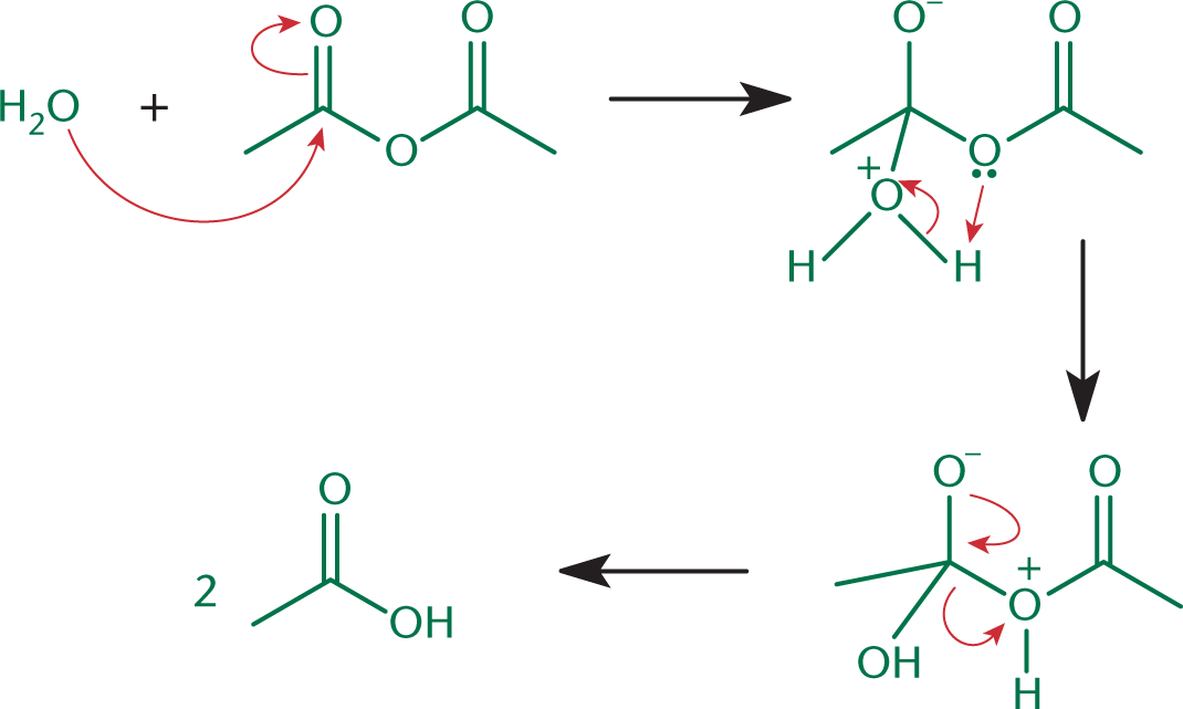 water attacks carbonyl of anhydride; reformation of carbonyl yields two carboxylic acids