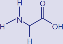 a central carbon bonded to an amine, a carboxylic acid, and a hydrogen. COMMENT: very minor but glycine would be more accurately drawn without that hydrogen at the bottom like I have shown. The alt text would then read: “a central carbon bonded to an amine and a carboxylic acid”.