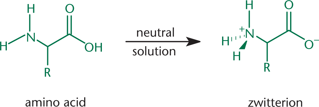 amino acid put into neutral solution and becoming zwitterion (NH3+ and COO-)