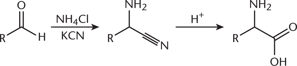 A central carbon bonded to H, R, and double bonded to O in a solution of NH4Cl and KCN reacts to yield a central carbon bonded to R, NH2, and CN. This molecule, in an acidic environment, yields a central carbon bonded to R, NH2, and a carboxyl group