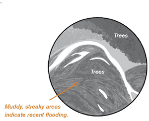 Muddy, streaky areas indicate recent flooding.