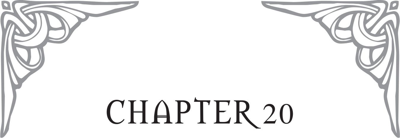 chapter_20.jpg