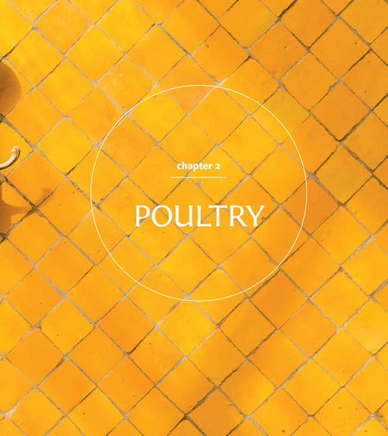 chapter 2: Poultry