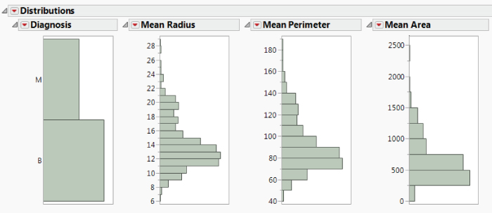 Histogram for the First 4 of 31 Distribution Reports.