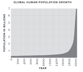 Graph1.jpg