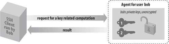 How an SSH agent works with its clients
