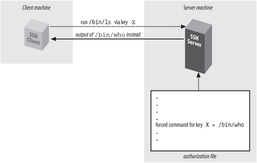 Forced command substituting /bin/who for /bin/ls