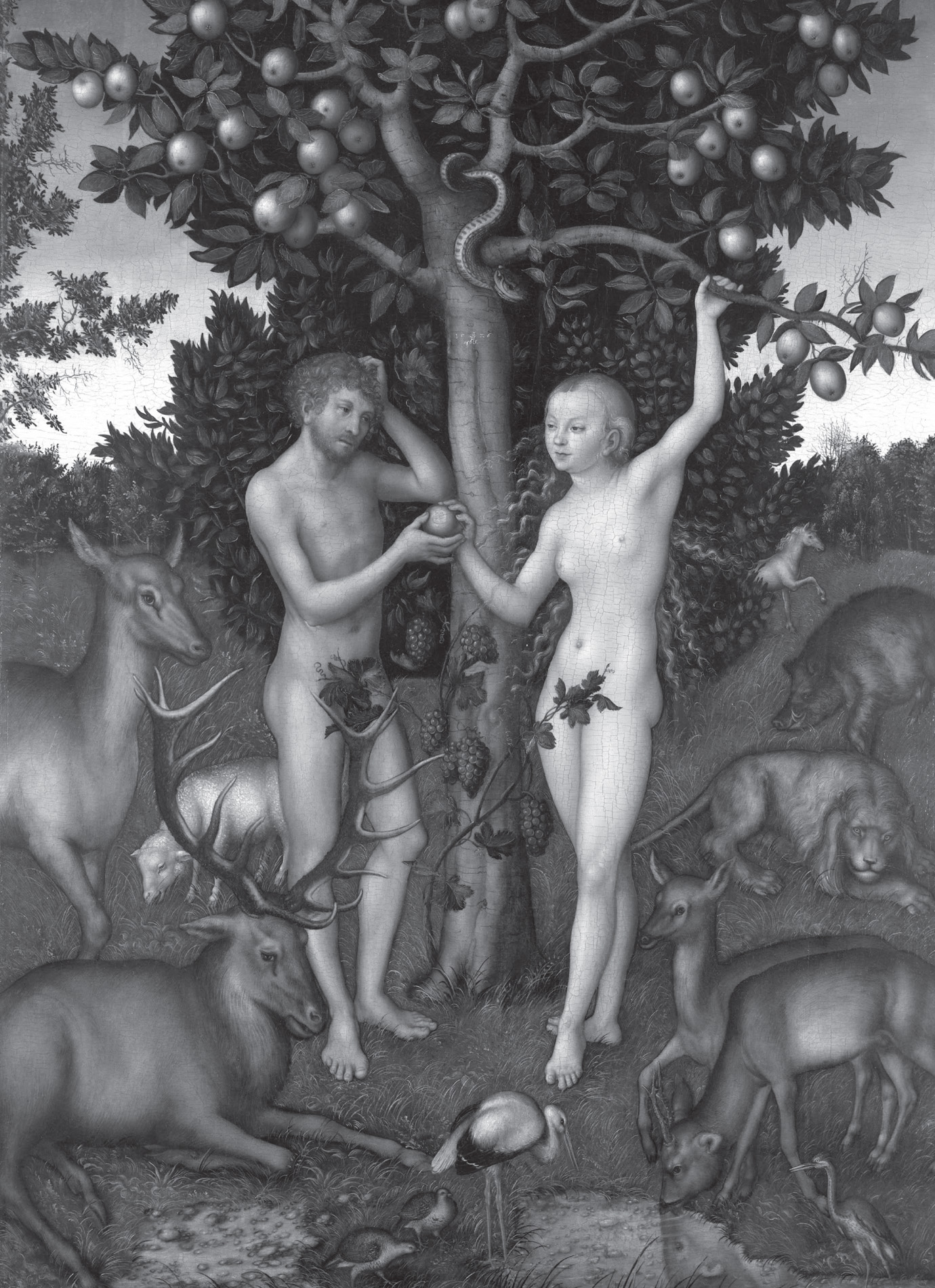 Peccatum originale – original sin Of course we are sad: detail from Lucas Cranach the Elder, Adam and Eve, 1526.