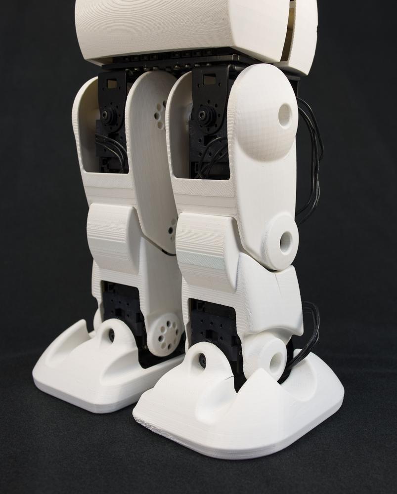 Detail of HR-OS1 hips and legs (photo courtesy of Trossen Robotics, LLC)