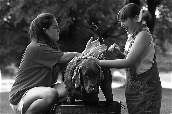 Figure 5-2: Washing your Lab can also mean a bath for you!