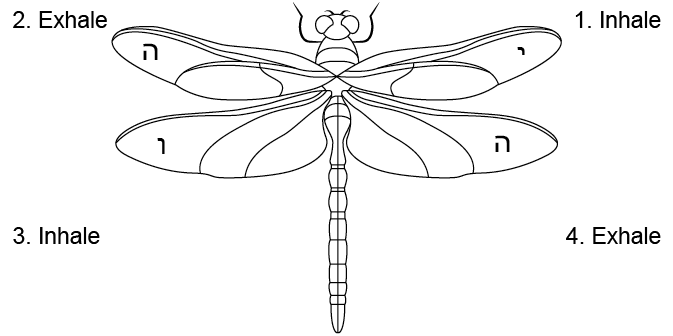 Dragonfly with Letters