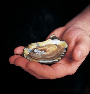 Holding an oyster on a half-shell