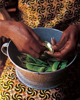 Miss Lewis shelling beans