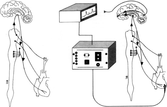 ch15fig002.eps