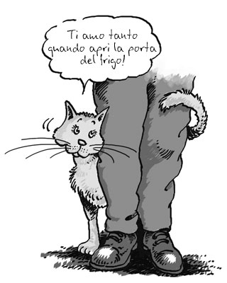 Vignetta Gatto marpione