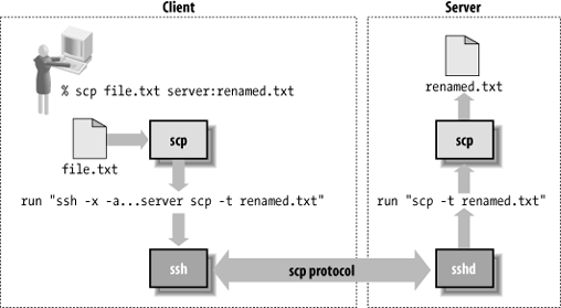 scp operation