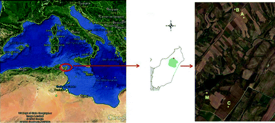 A370045_1_En_7_Fig1_HTML.gif