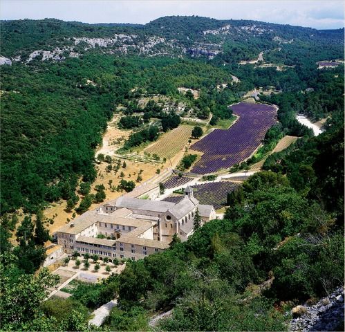 L’abbaye cistercienne de Sénanque.