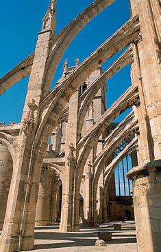 Cathédrale Saint-Just-et-Saint-Pasteur de Narbonne (1272-1332)