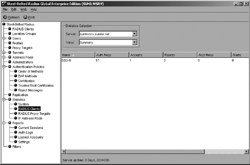 Monitoring the statistics counters for the RADIUS clients