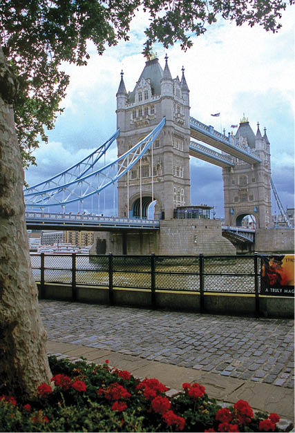 p119b.jpg