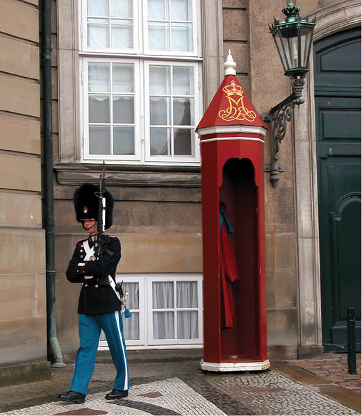 p215b.jpg