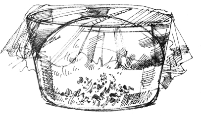 Sketch: Dough rising in a plastic-covered bowl