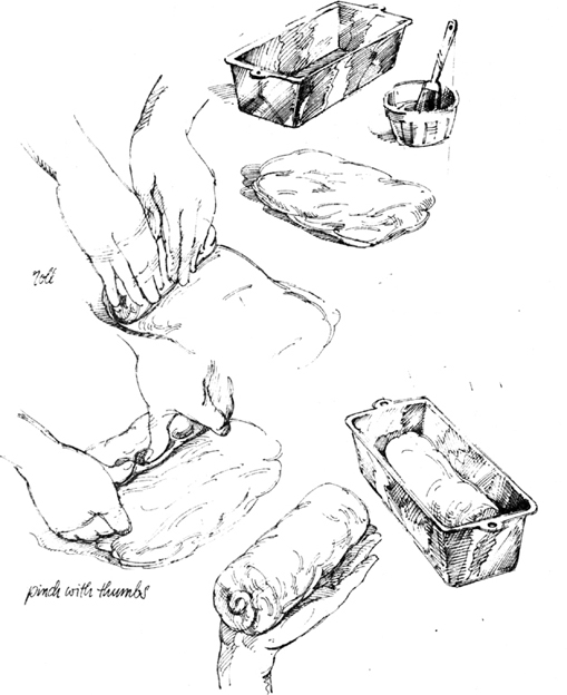 Sketches: Rolling out the dough and rolling it into a sausage shape before setting in the bread pan