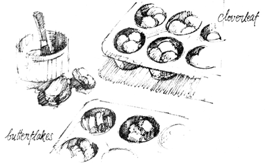 Sketch: Parker House dough made into cloverleaf and butterflakes, in muffin tins