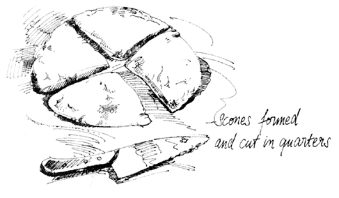 Sketch: Scones formed and cut in quarters