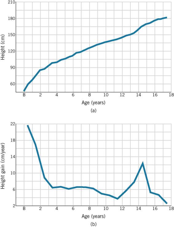 These two line graphs show that data can be presented two different ways. The first line graph shows overall growth for boys as continuously increasing, but when the data is presented as height gains per year, it can be seen that in some years the gain was large and in others nearly nonexistent.