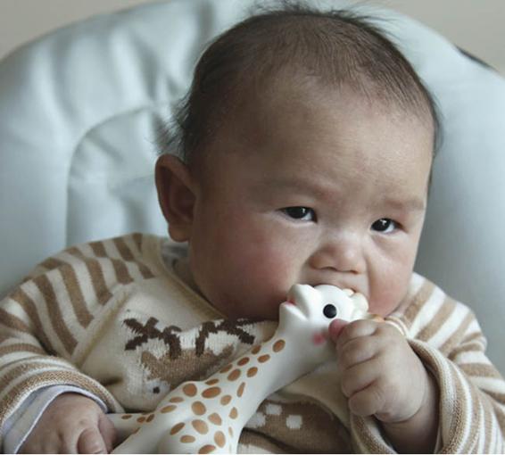 Photo of baby sucking on a plastic giraffe toy.