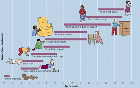 This bar chart shows the major milestones in infancy.