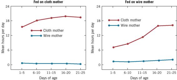 These line graphs compare the time baby rhesus monkeys spent with each kind of surrogate mother: wire or cloth.