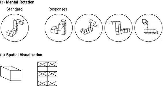 The first test shows a configuration of blocks in a specific shape on the left. The subject is challenged to choose from among four choices on the right, the same figure as it would appear if rotated. In the second test, a simple geometric figure is shown as a model on the left, and a complex shape containing the simple figure as an element is shown on the right.