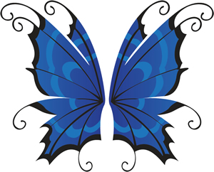 Butterfly Image