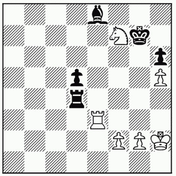 Chess problem 116