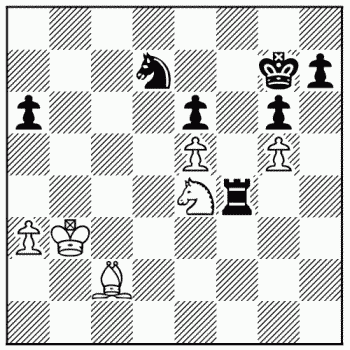 Chess problem 161