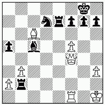 Chess problem 202