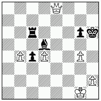 Chess problem 244