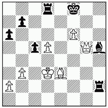 Chess problem 263