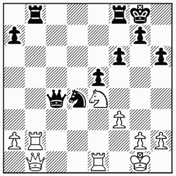 Chess problem 284