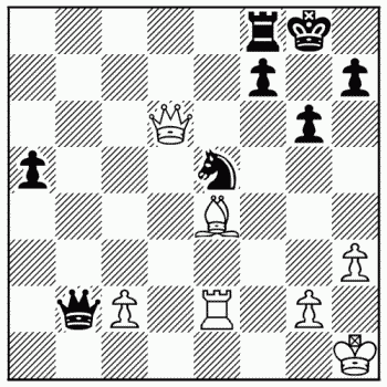 Chess problem 343