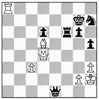 Chess problem 489