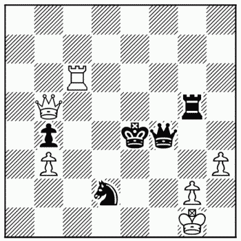 Chess problem 491