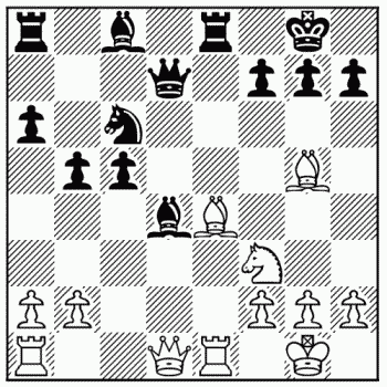 Chess problem 495