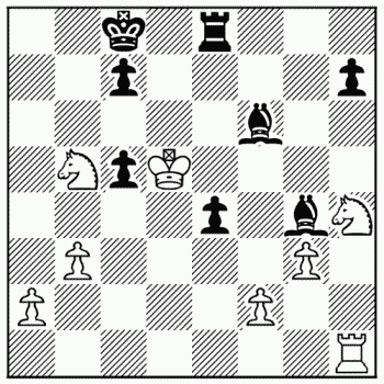 Chess problem 778